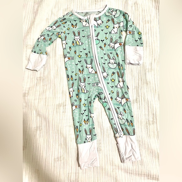 Little Sleeping Newborn Mint Bunnies Zippy. EUC.